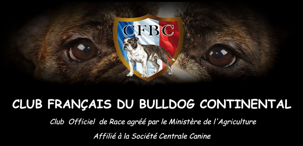 De la landerie - Vidéo du Club Français du Bulldog Continental